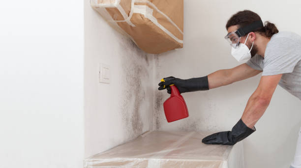 Professional Mold Removal technician working in Castalia, NC